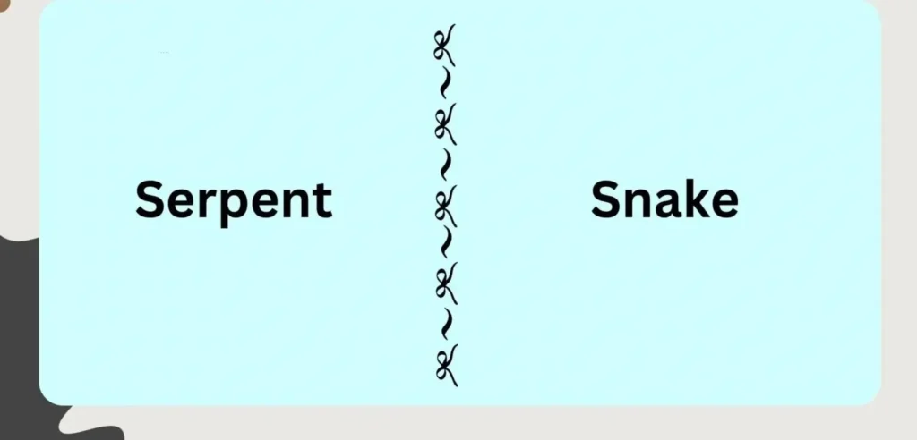 serpent and snake in real word